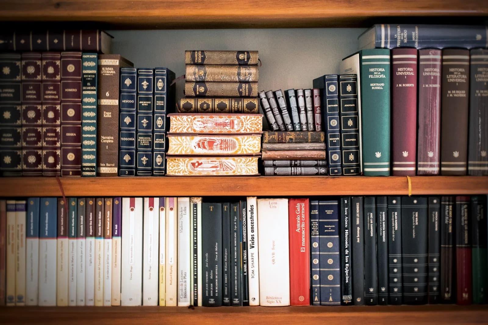 Deux étagères en bois remplies de classiques reliés et d'ouvrages de référence.
