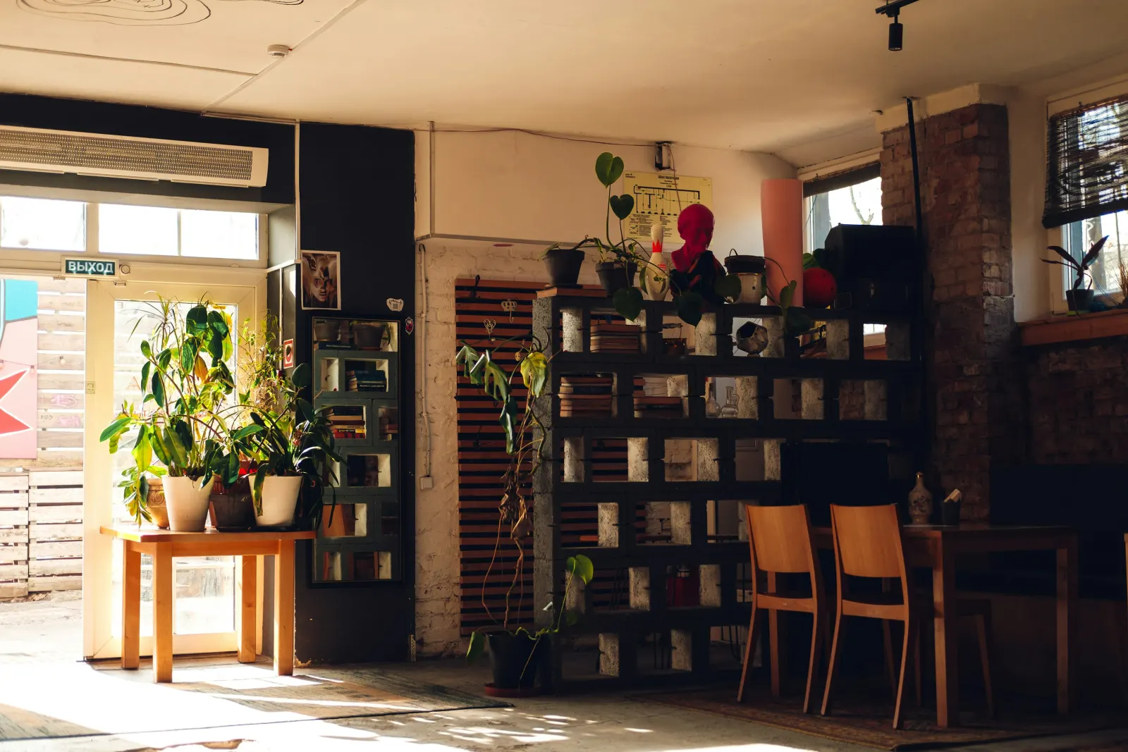 A cozy reading nook with a filled bookshelf, potted plants, and warm natural light.
