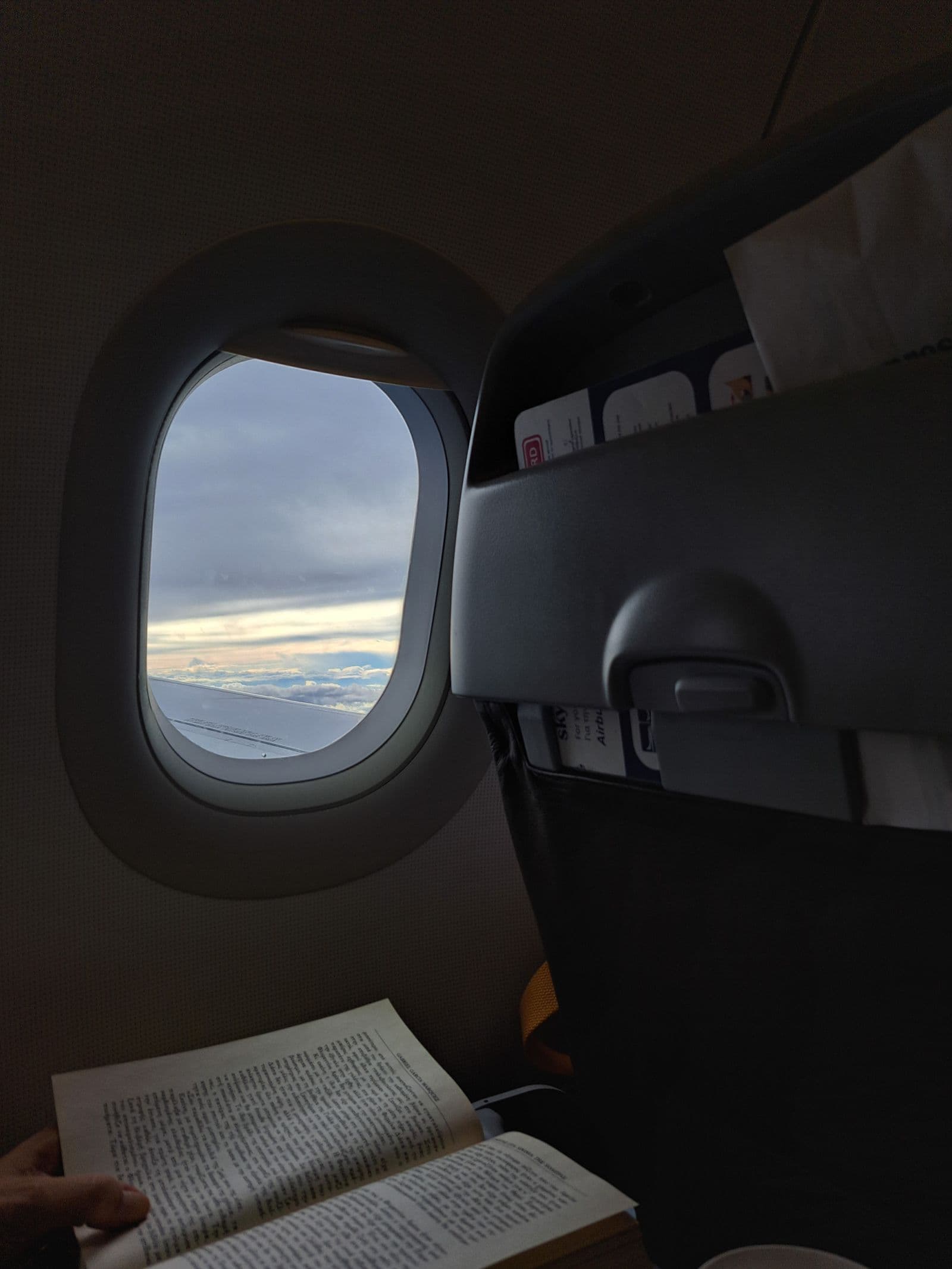 Person reading on a tablet by an airplane window